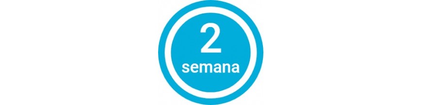 2 semanas