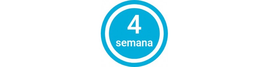 4 semanas