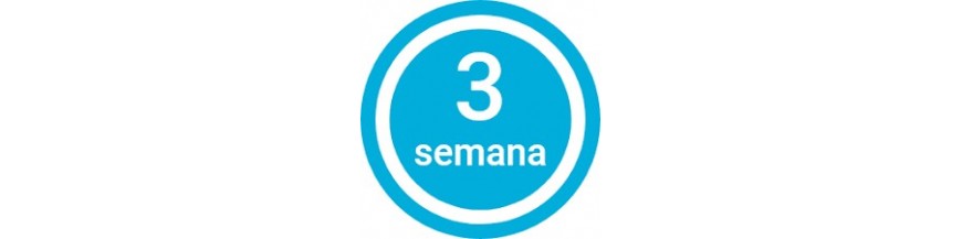 3 semanas