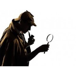 Proyecto Detectifesd