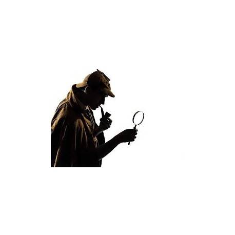 Proyecto Detectifesd