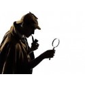 Proyecto Detectifesd