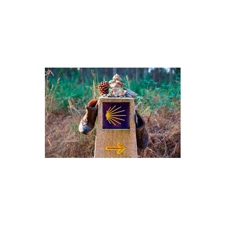 Camino de Santiago - Completo