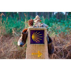 Camino de Santiago - Completo