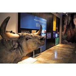 Museo Valltorta i Cova del Cavall