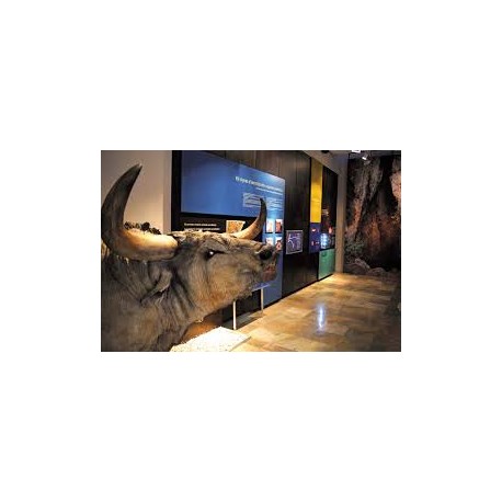 Museo Valltorta i Cova del Cavall