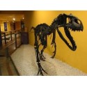 Museo de Ciencias Naturales - 2º Infantil